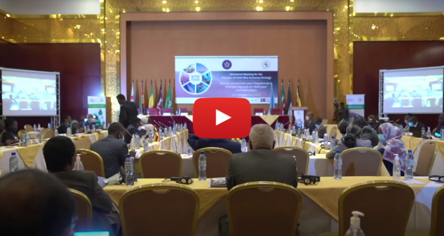 Ministerial Validation Meeting For IGAD Blue Economy Strategy (2021-2025)